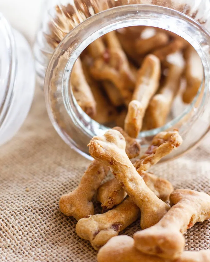 Bone-shaped peanut butter and bacon dog treats